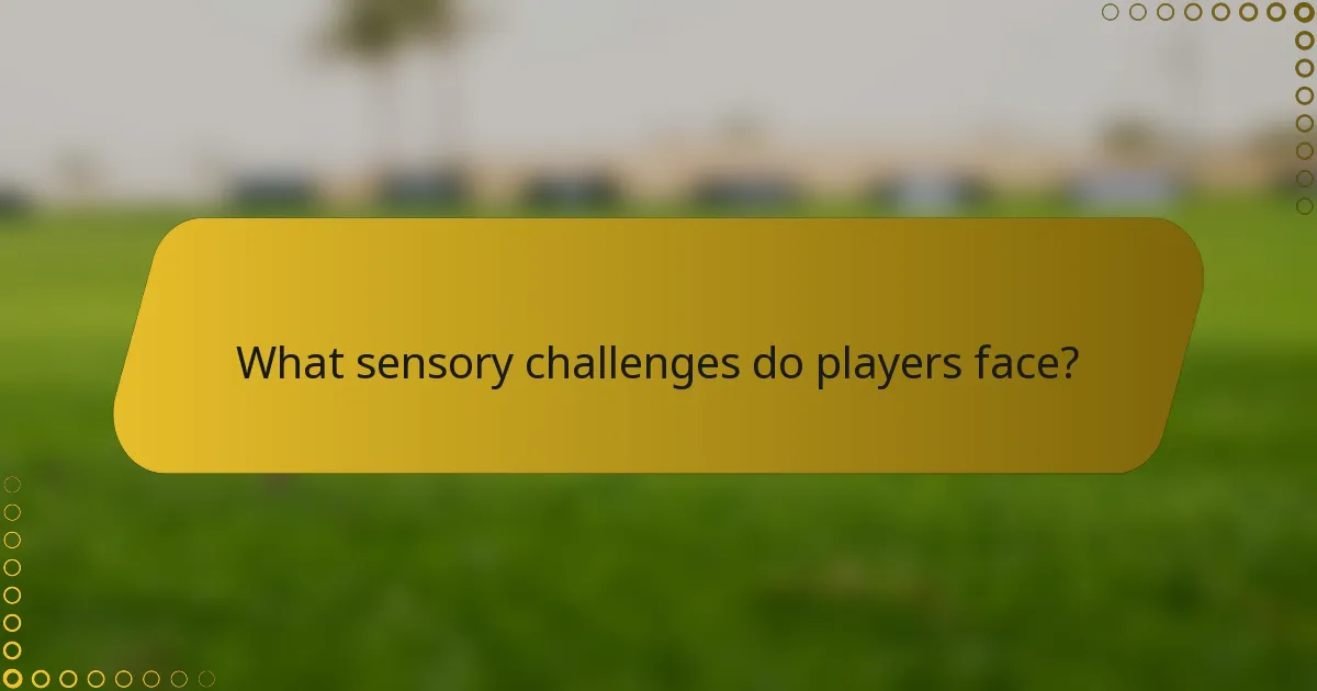 What sensory challenges do players face?